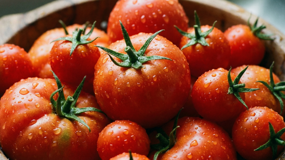 Alimentos y bebidas claves en la reducción del riesgo de cáncer